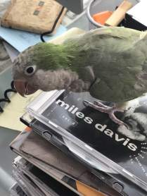 32105069_10214968565955068_2448738662800687104_n